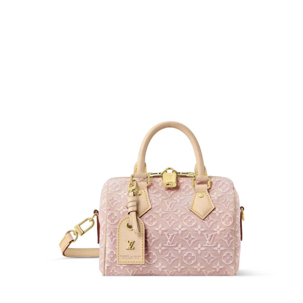 SPEEDY BANDOULIèRE 20 Handbag