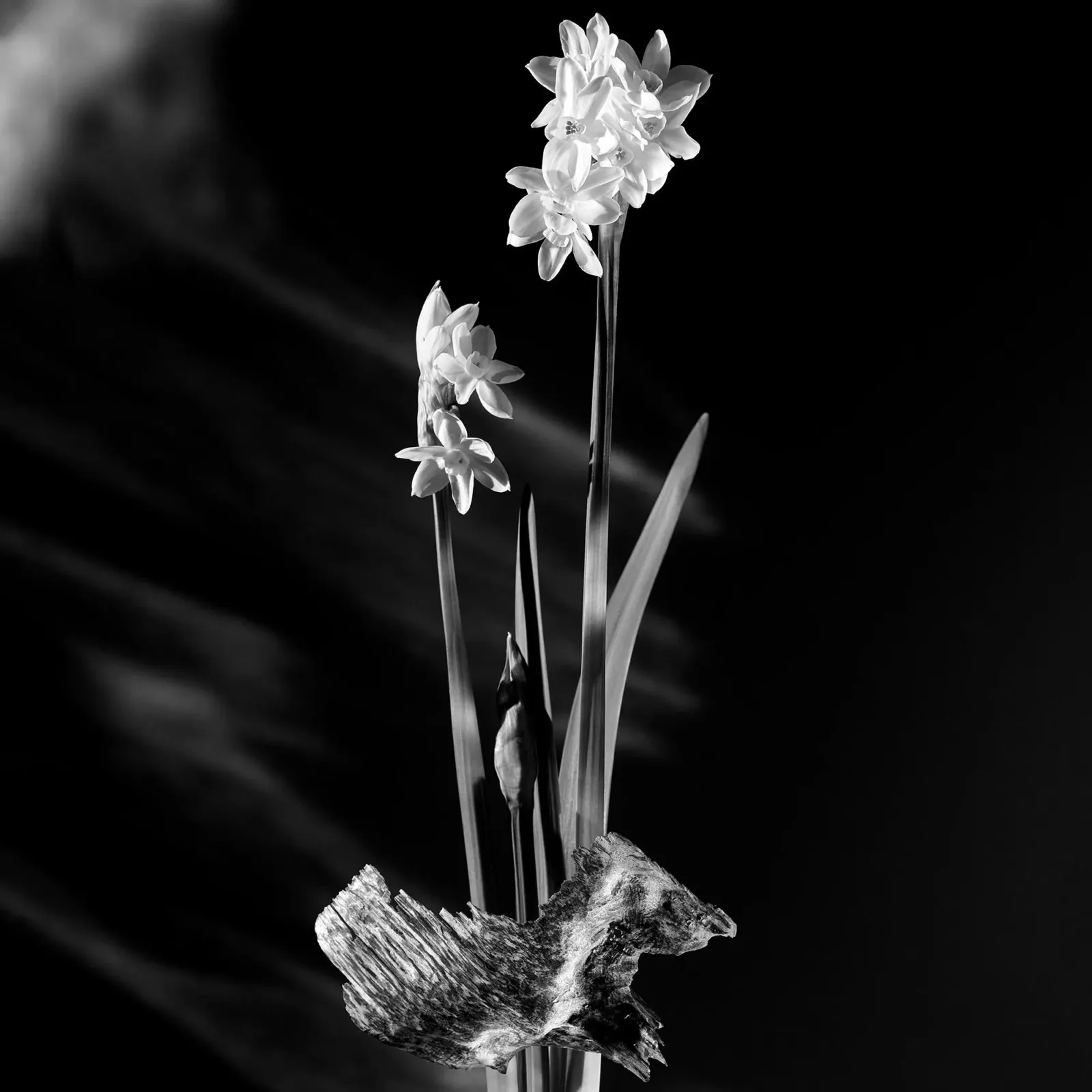 Undercurrent Perfume - 3